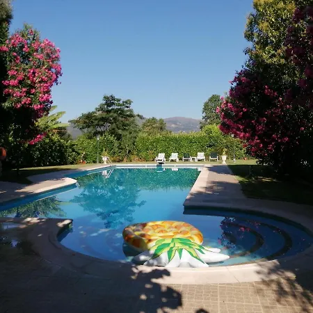 Pool, Wifi & Bbq - Апартаменты
